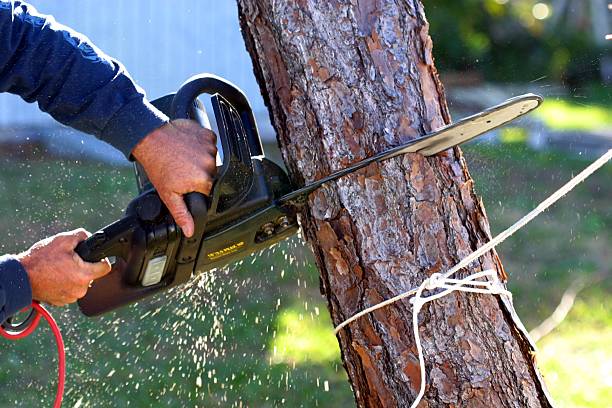Lawn Irrigation Installation and Maintenance in Fort Bragg, CA